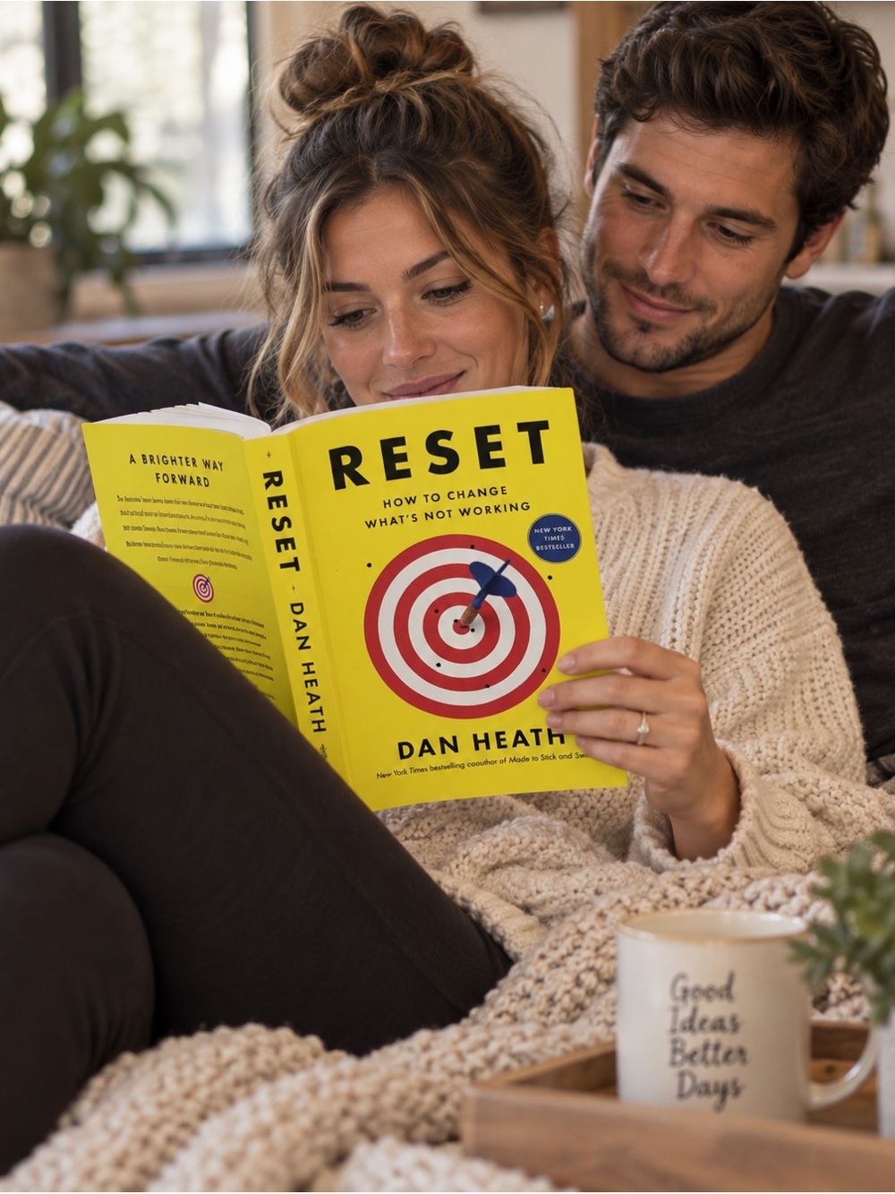 Reset Book By Dan Heath